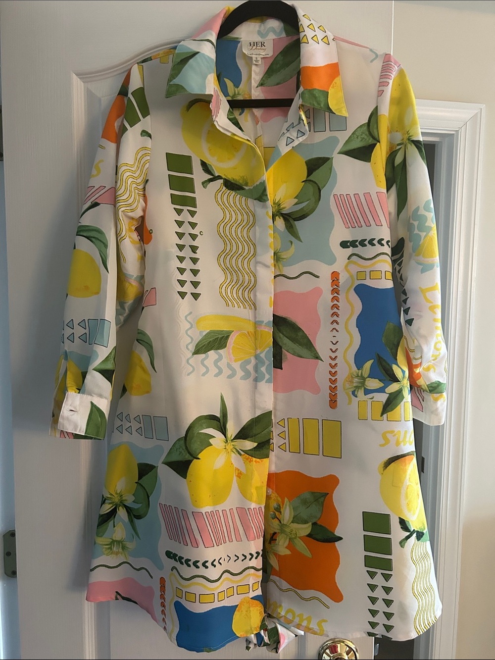 Lemon Print Collared Button-Front Shirt Dress - Multicolor